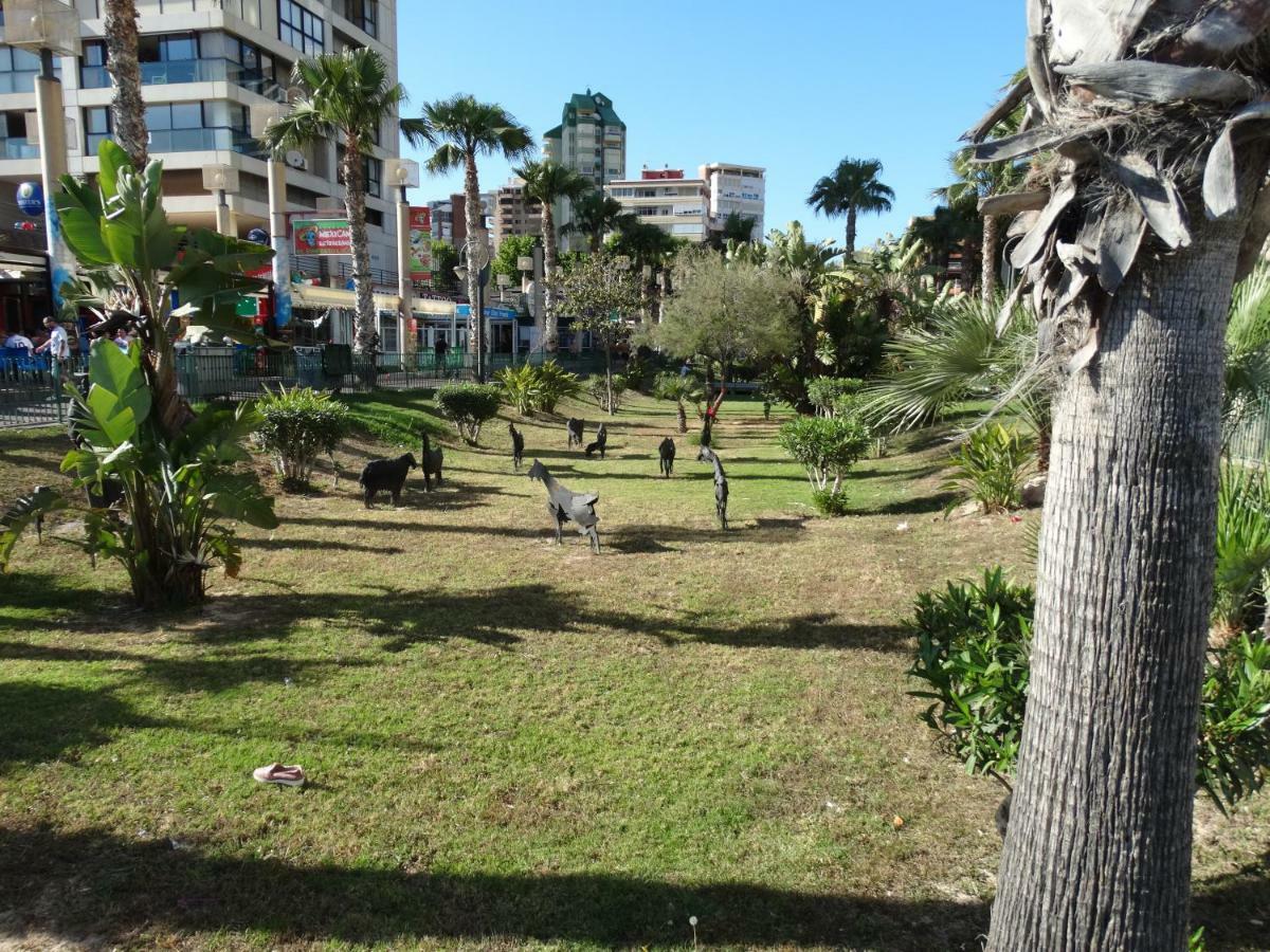 Apartment 2 Bedrooms, 250M Levante Beach Benidorm Exterior photo